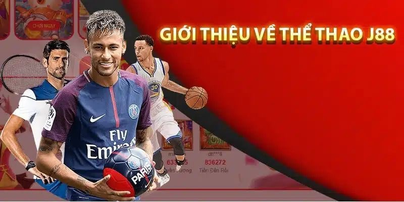 Tổng quan về sảnh thể thao